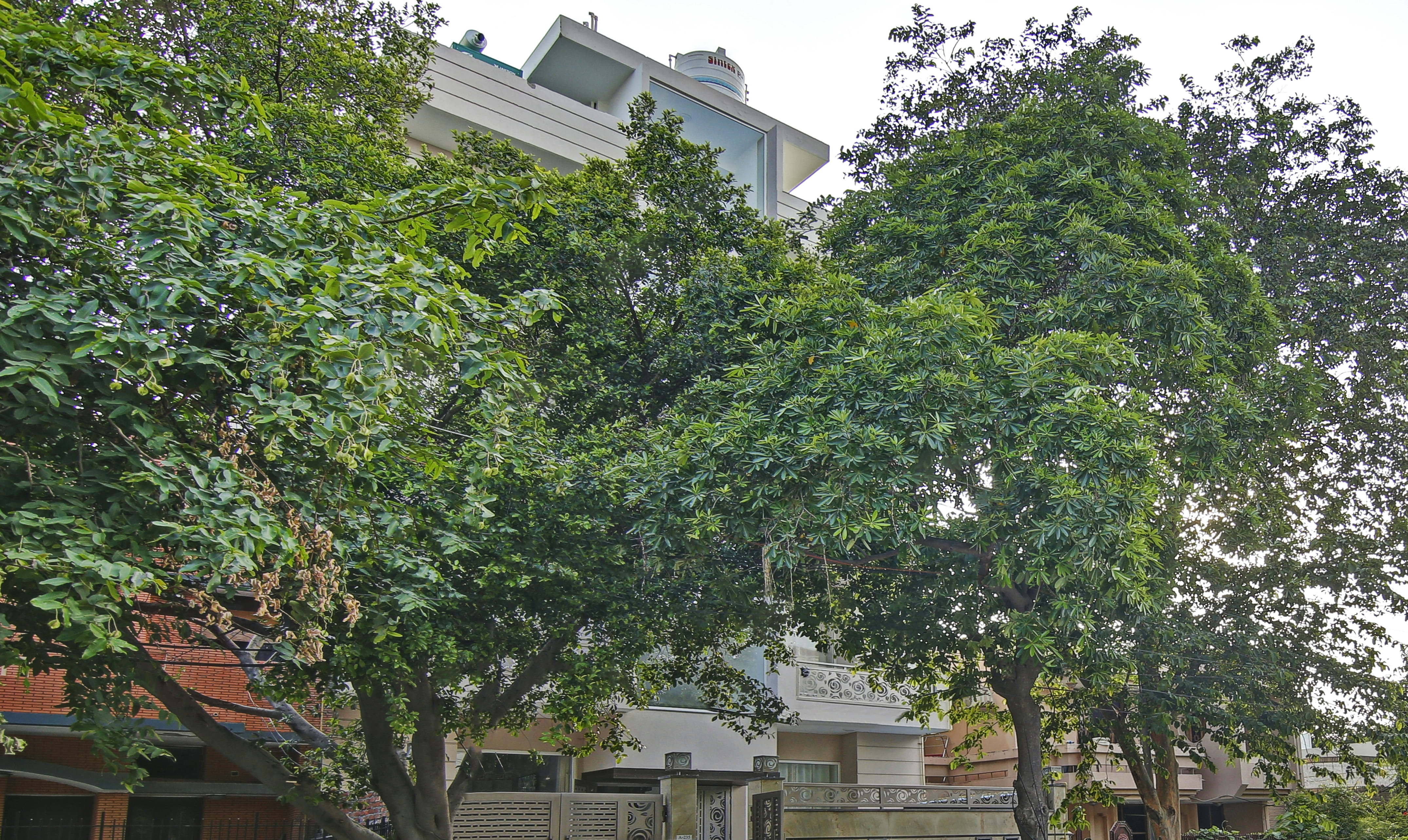 Treebo Aviraj Inn,Sector 19 Noida,3 star