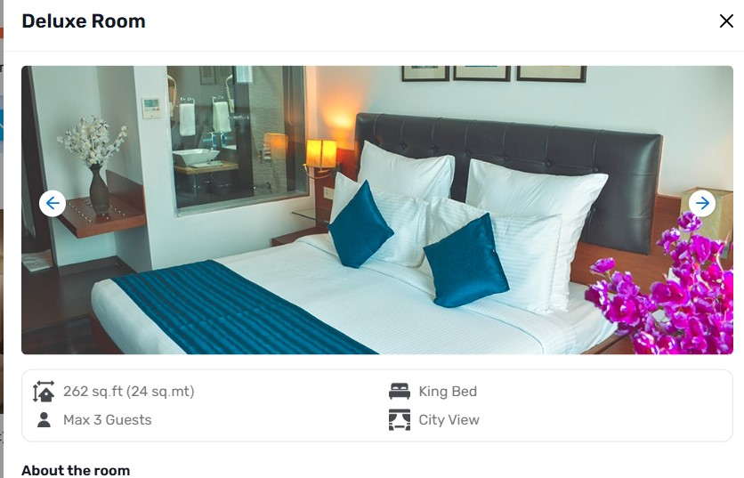 Hotel Riverview,Near Nehru Bridge,3 star