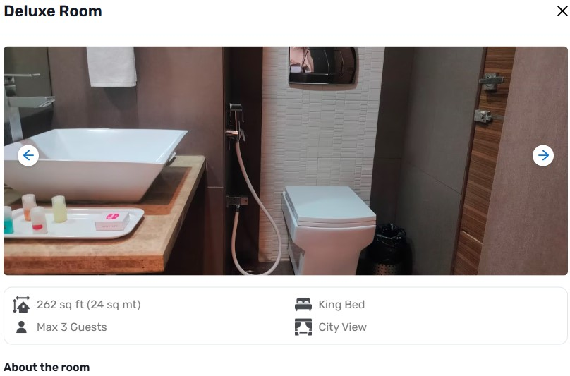 Hotel Riverview,Near Nehru Bridge,3 star