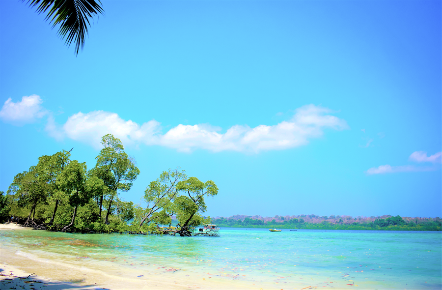 havelock island beach resort