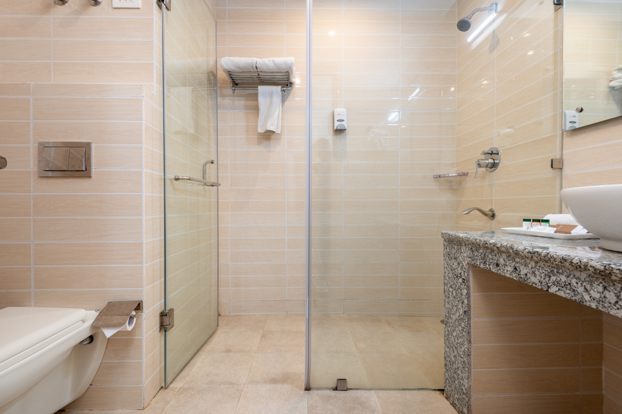 dls hotel shiva sanctuary and spa