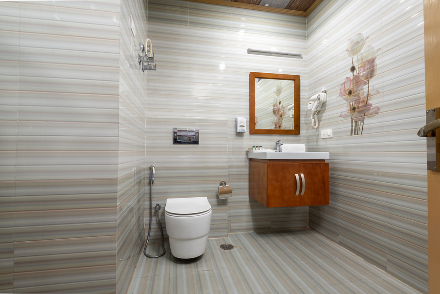 dls hotel shiva sanctuary and spa