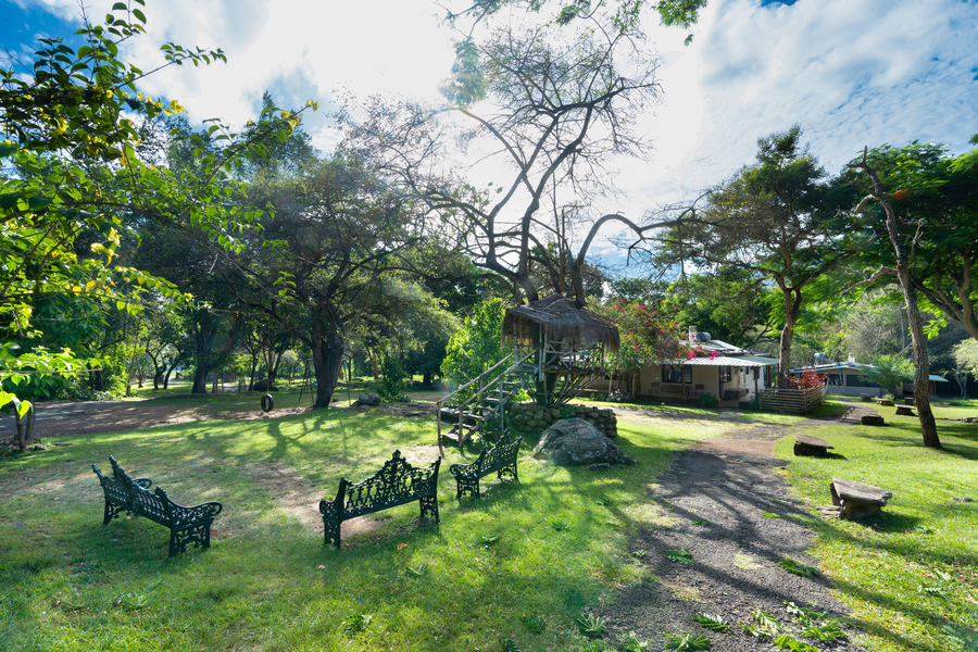 Jungle Hut Resorts,Mudumalai>>Masinagudi,3 star