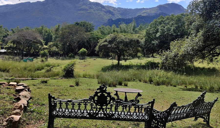 jungle hut resorts