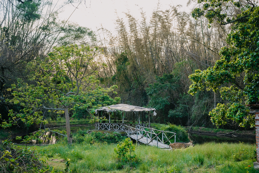 Jungle Hut Resorts,Mudumalai>>Masinagudi,3 star