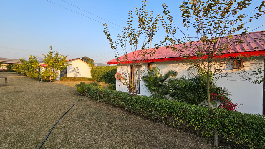 brar tiger resort by the forestory