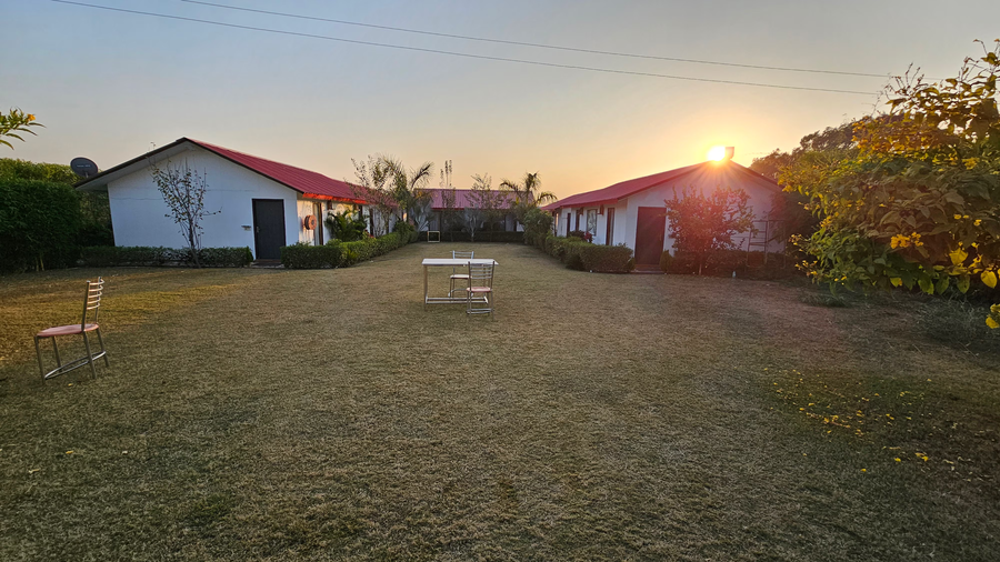 brar tiger resort by the forestory
