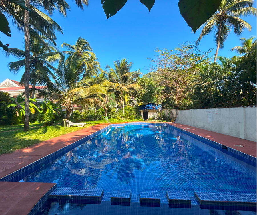 jungle hut annabelles beach apartments at bernard simao