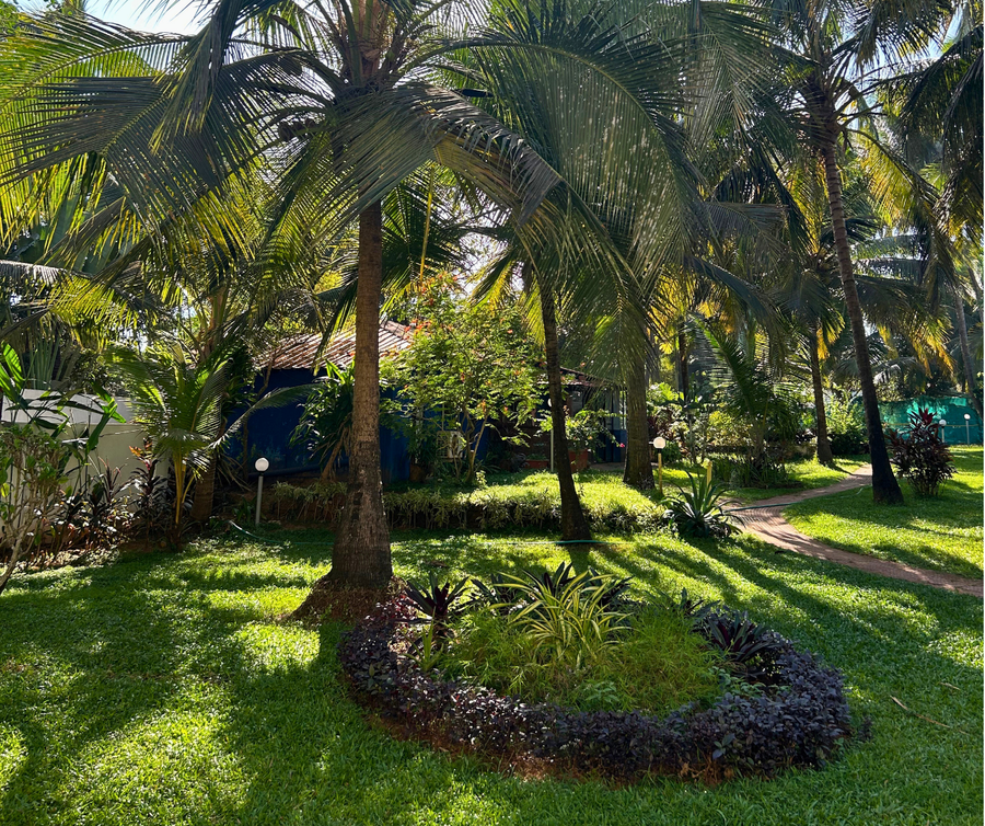 jungle hut annabelles beach apartments at bernard simao