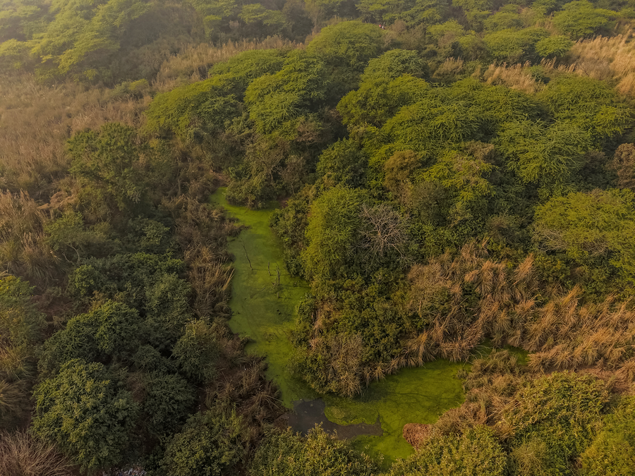 hotel sarai bharatgarh