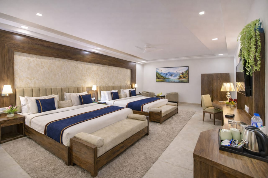 hotel prithvi palace