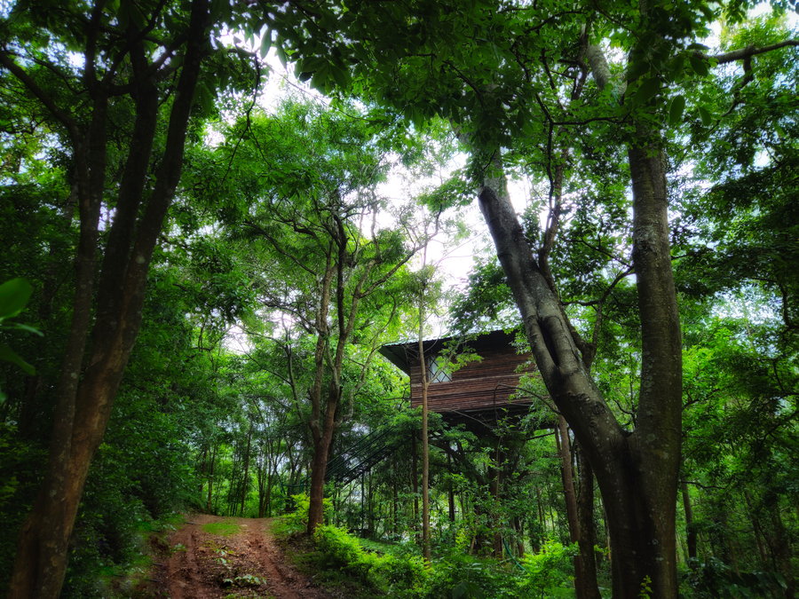 devigiri homestay