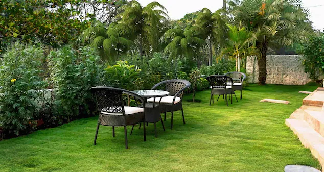 aulakhs the great ocean view hotel
