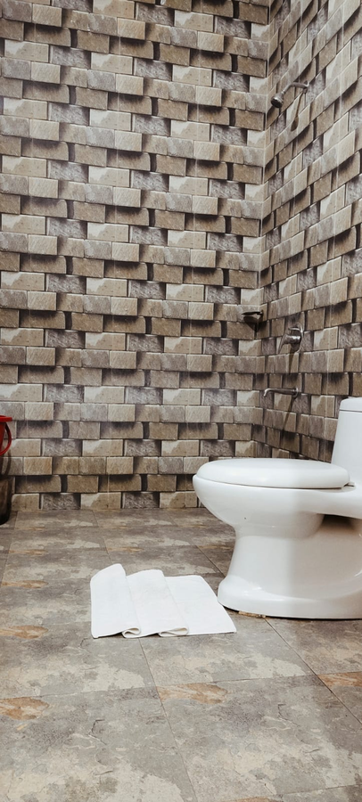 jim corbett ramnagar