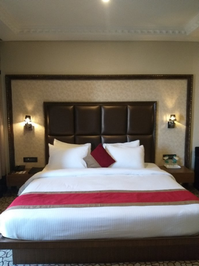 hotel anjushree
