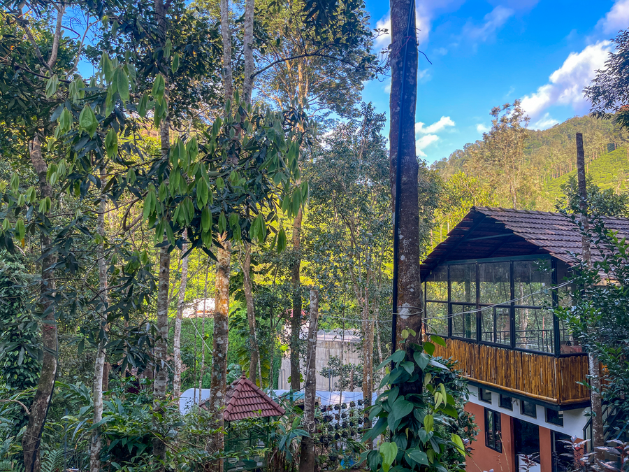 snow hills nature resort