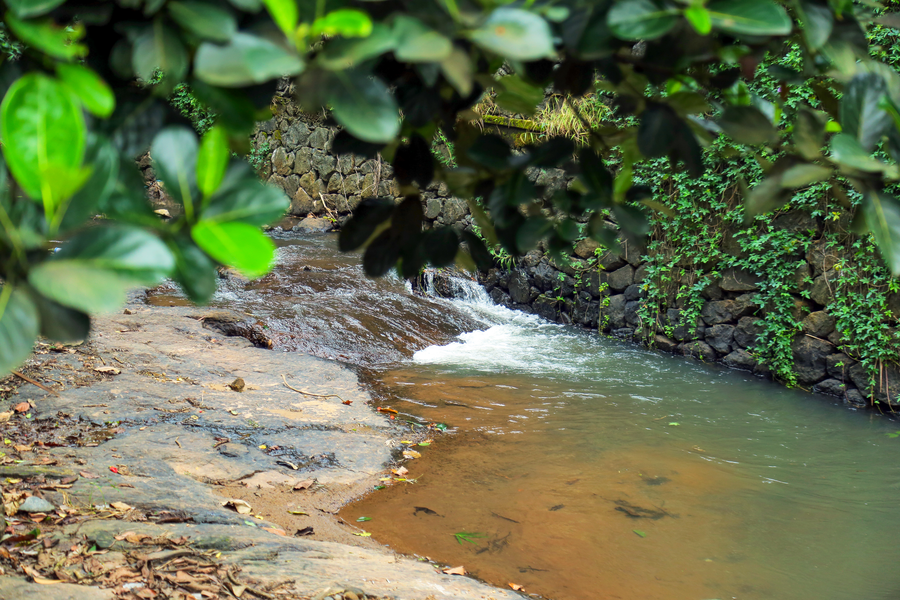 Snow Hills Nature Resort,Ramakkalmedu>>Peerumade,3 star