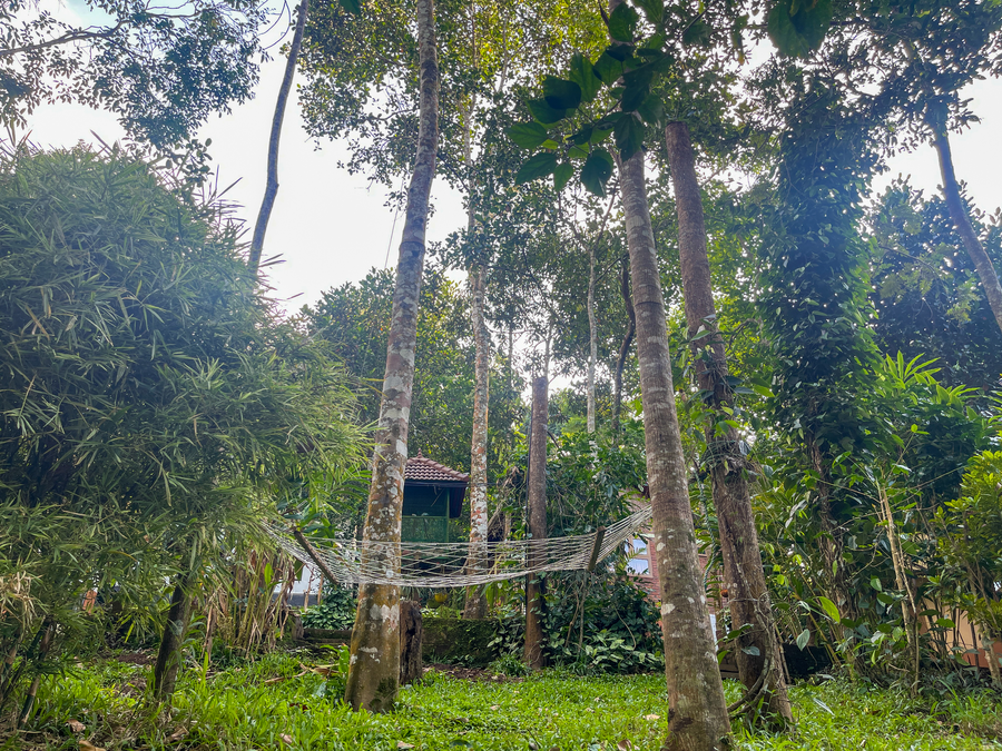 snow hills nature resort