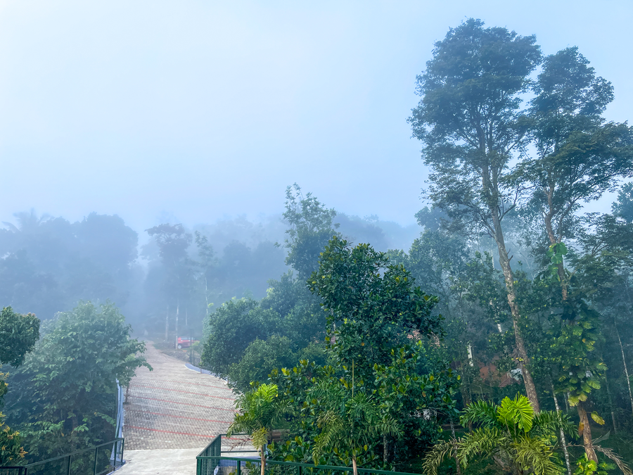 snow hills nature resort