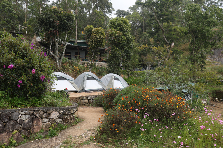 Campper Campwoody Munnar,Suryanelli,2 star