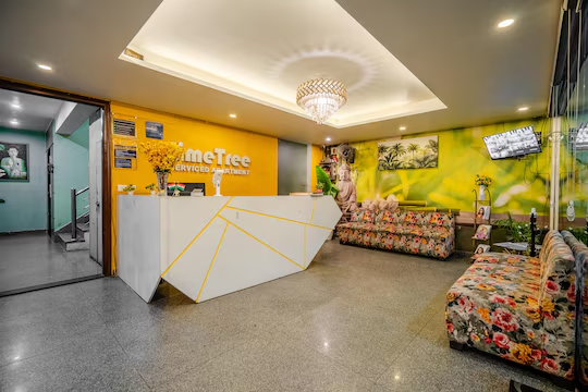 lime tree luxury studio element one