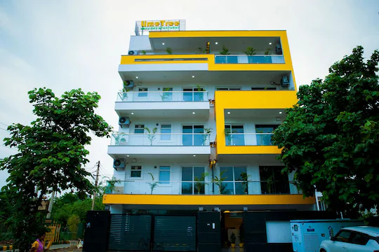 lime tree luxury studio element one