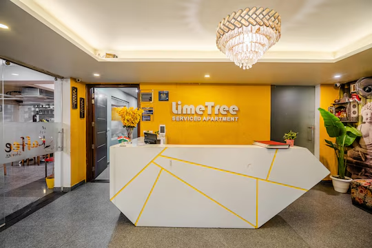 lime tree luxury studio element one