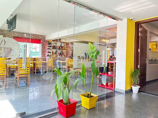 lime tree luxury studio element one