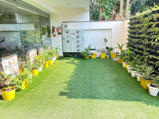 lime tree luxury studio element one