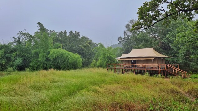 The Untamed, Bandhavgarh By Tutc,India>>Umaria,4 star