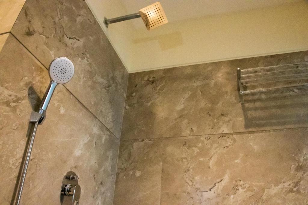 hotel sourav park inn agra