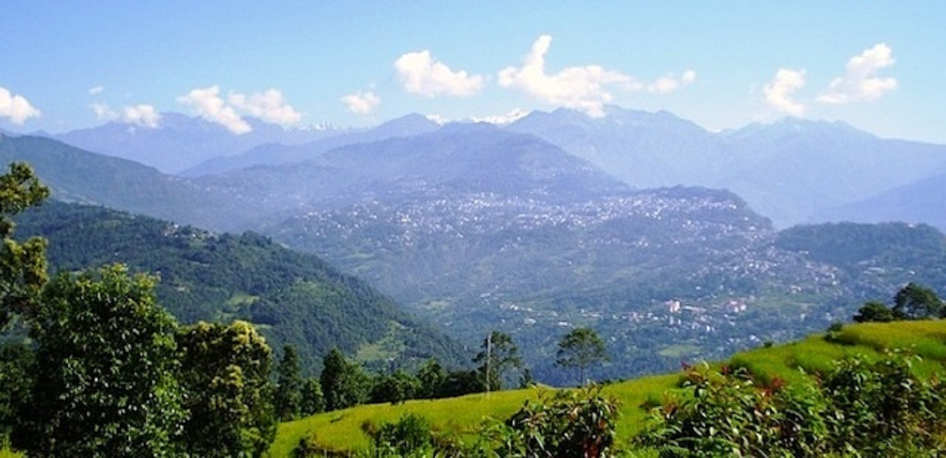 bamboo retreat hotel