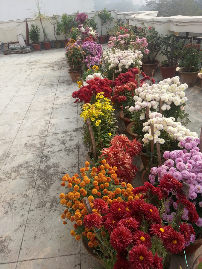 ish atithya homestay and serviced apartment