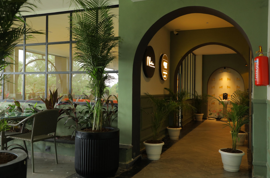 hotel city express udaipur my downtown hotels
