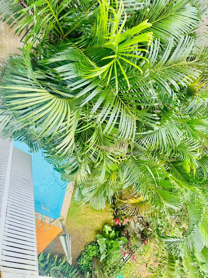 half hotel calangute