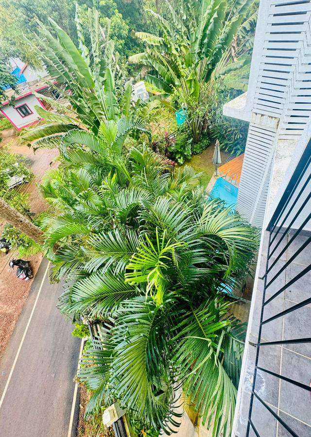 half hotel calangute