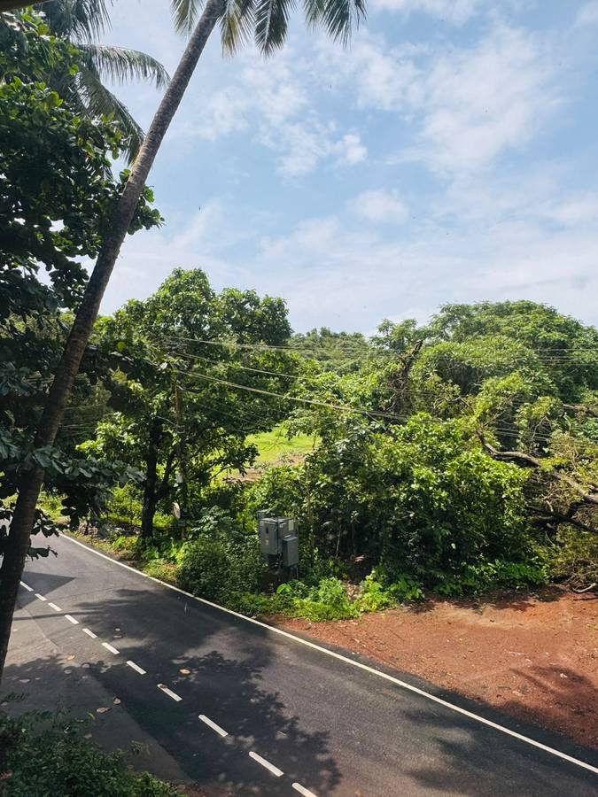 half hotel calangute