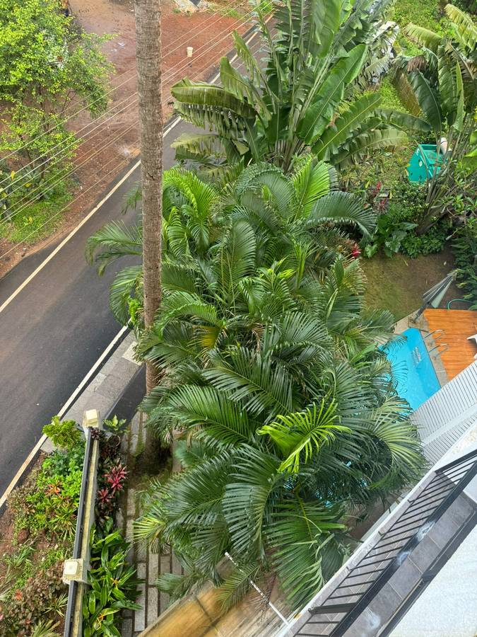 half hotel calangute