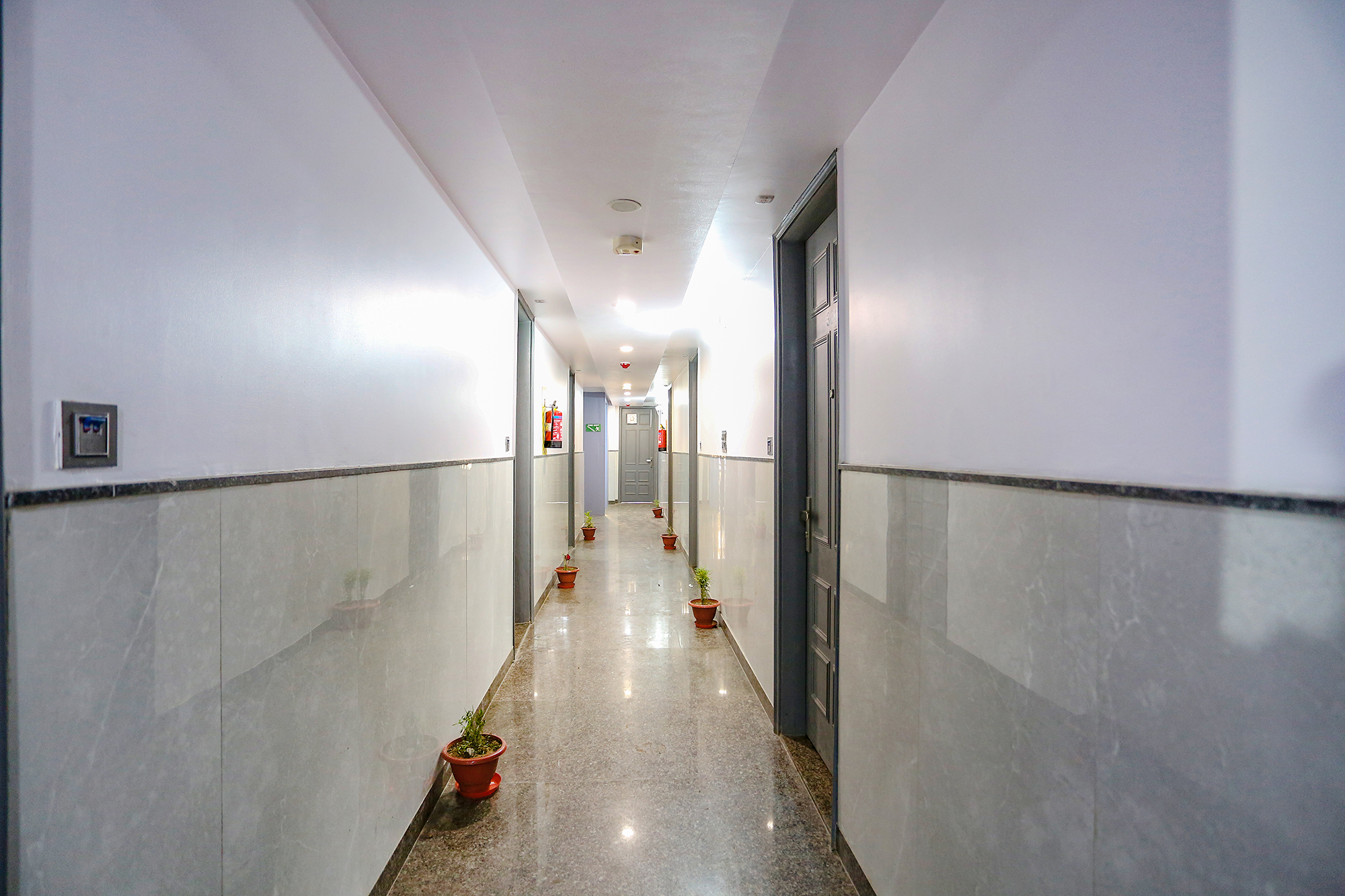 new delhi