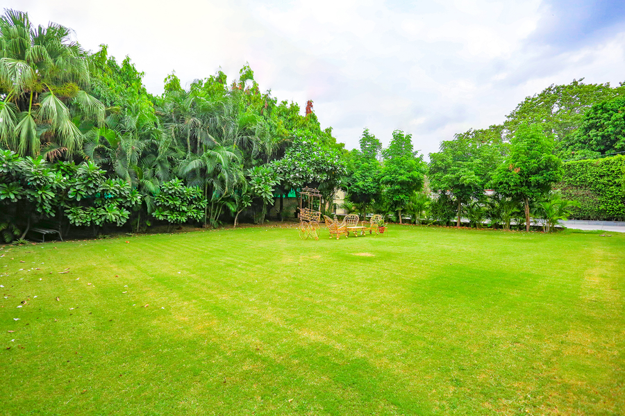 fabhotel pulse impulse