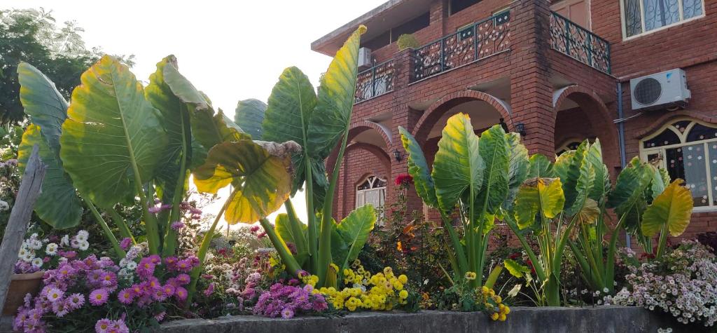 Lalita Homestay Countryside,Sevagram,3 star