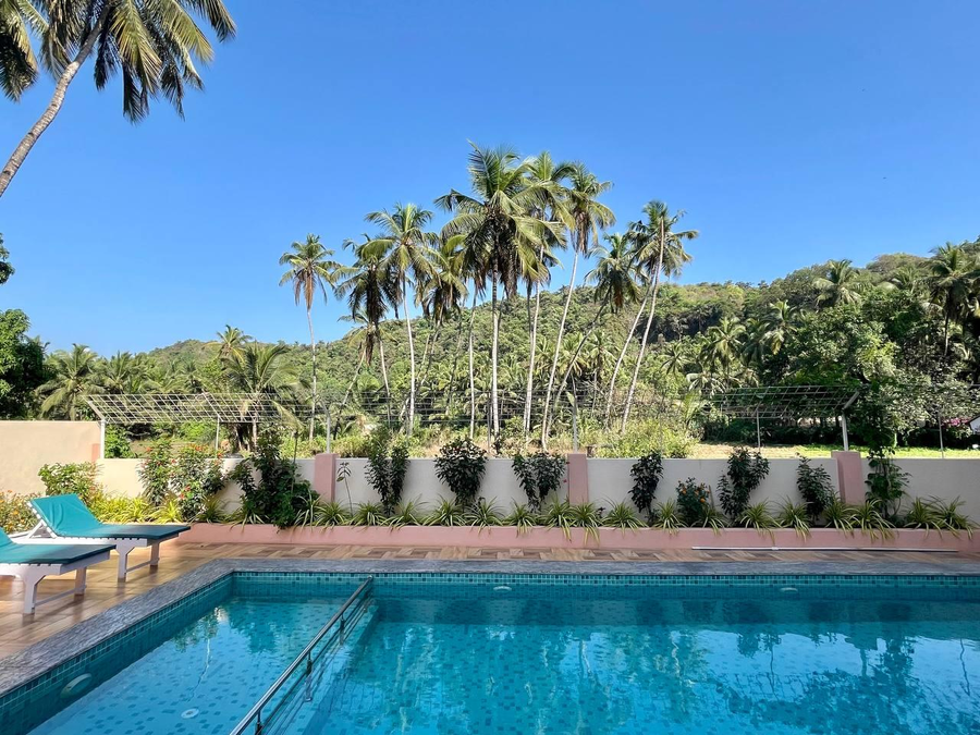 palm paradise resort