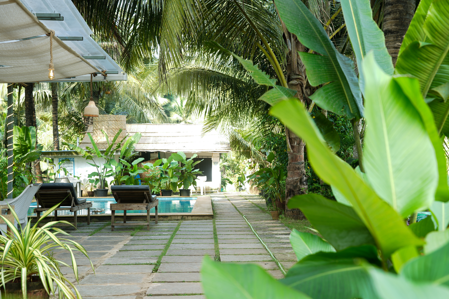 The North 39,Hotel North 39, Junas Wada, Near River Bridge, Mandrem, Goa 403527,3 star