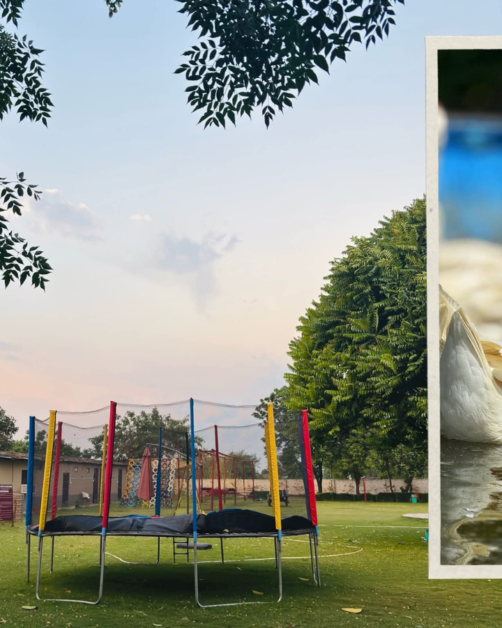 arise rustic village resort manesar