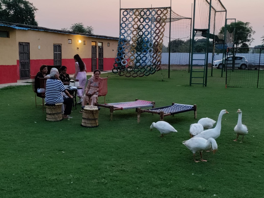 arise rustic village resort manesar