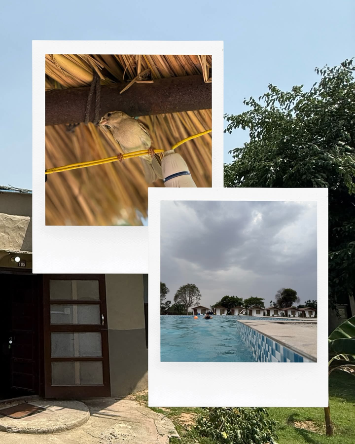 arise rustic village resort manesar