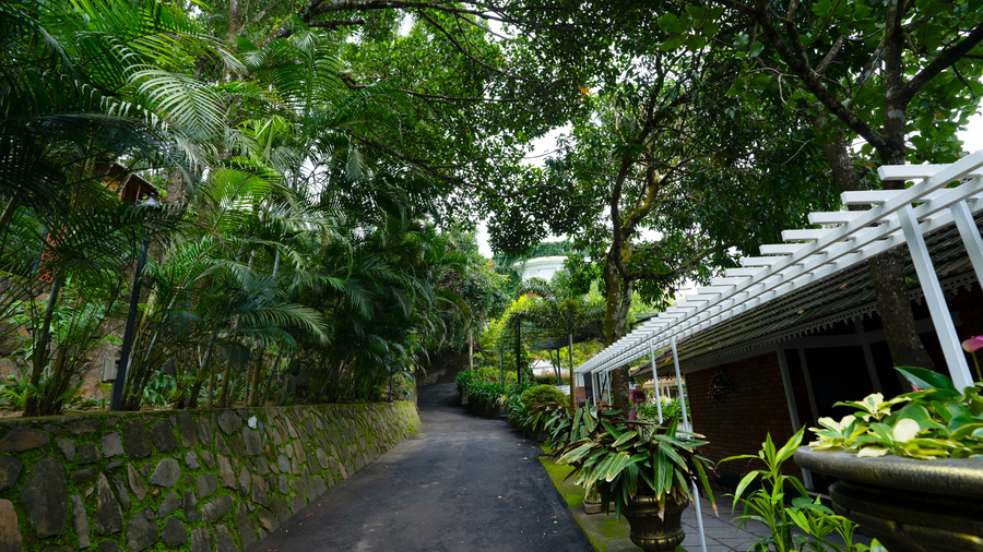 mount xanadu resort