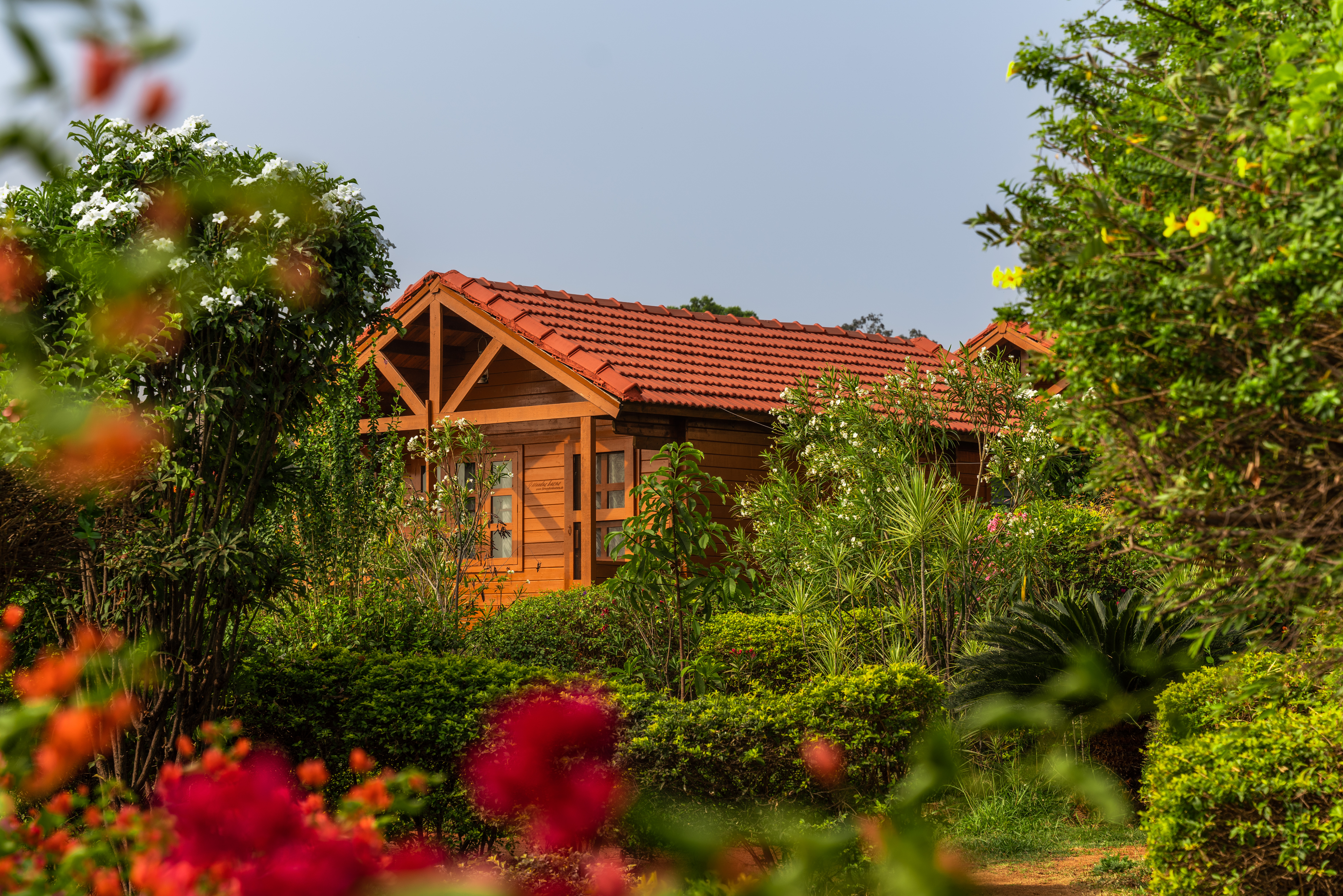 Leo Wooden Resort,Sanapur,3 star