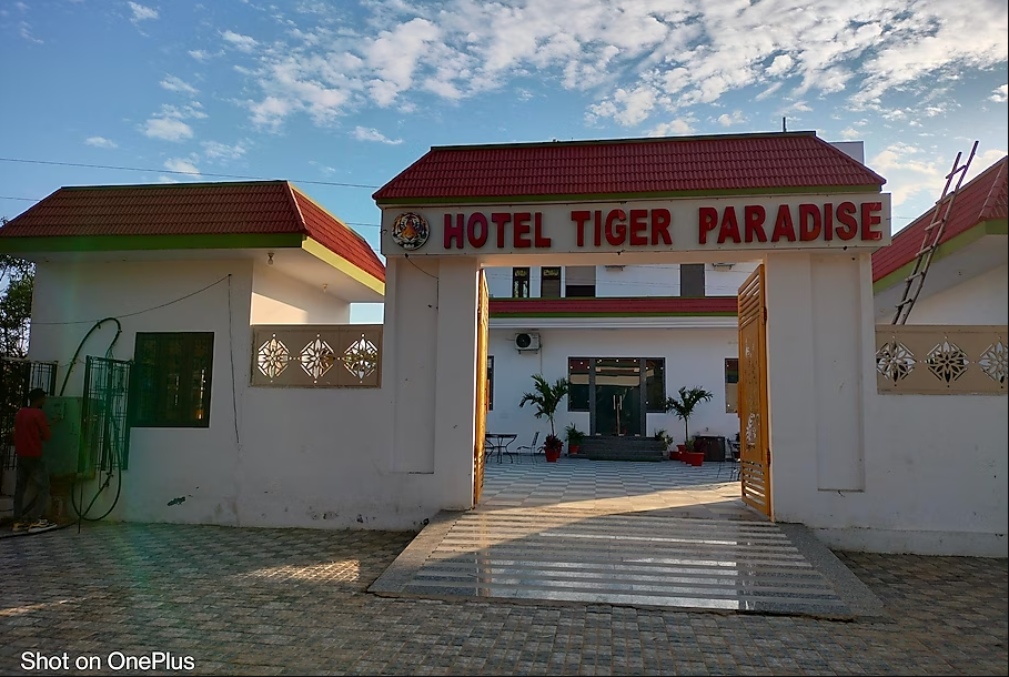Tiger Paradise - Sariska