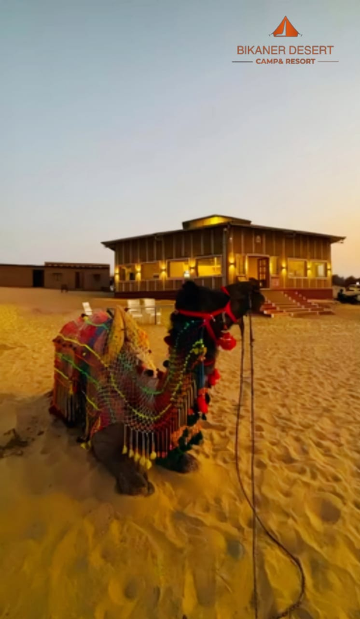 bikaner desert camp and resort